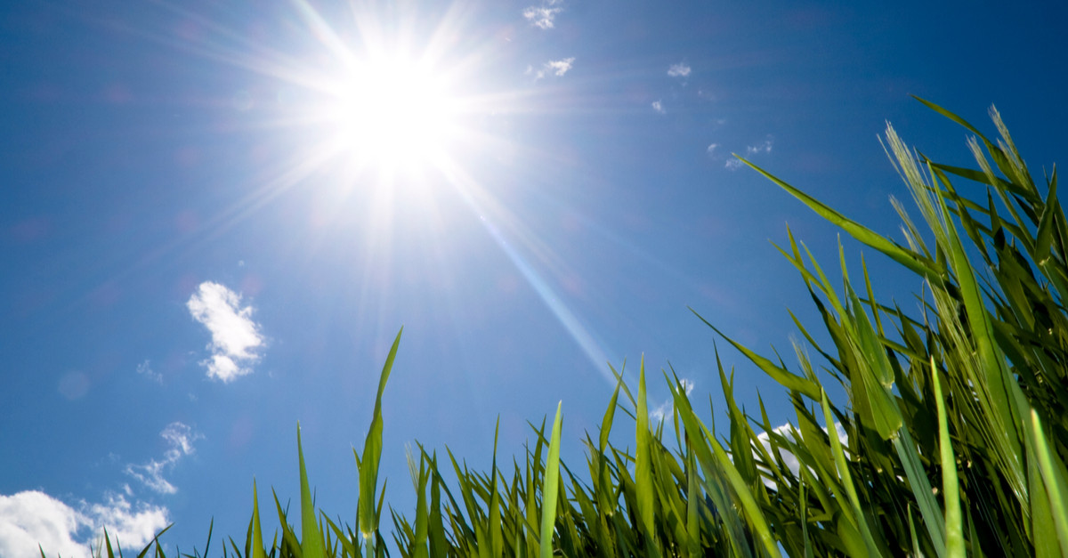 Pronóstico del tiempo Tamaulipas: Clima para este lunes 5 de enero