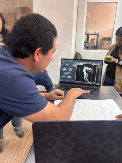 Valía Energía y Gobierno de Tamaulipas fortalecen la atención al jaguar: CPBT