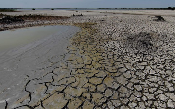 Sheinbaum anuncia acciones tras desabasto de Tamaulipas