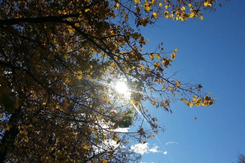 Clima en Tamaulipas: ¿Cuál es el pronóstico para este jueves 12 de febrero?