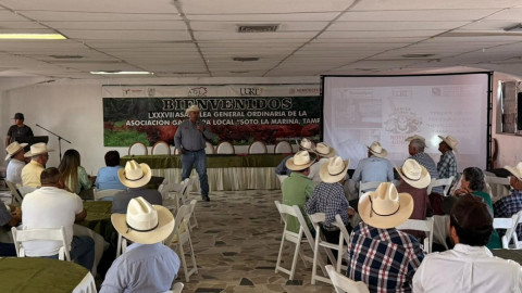 Presentan convocatoria para el “Novillo Gordo 2026”