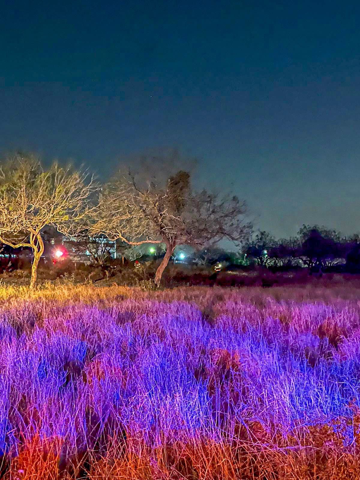 Bomberos sofocan incendio de pastizal en el bulevar Hidalgo