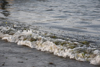 Semar identifica tres fuentes del derrame de hidrocarburo en el Golfo de México