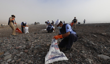 Retiran más de 700 toneladas de hidrocarburo en costas del Golfo de México