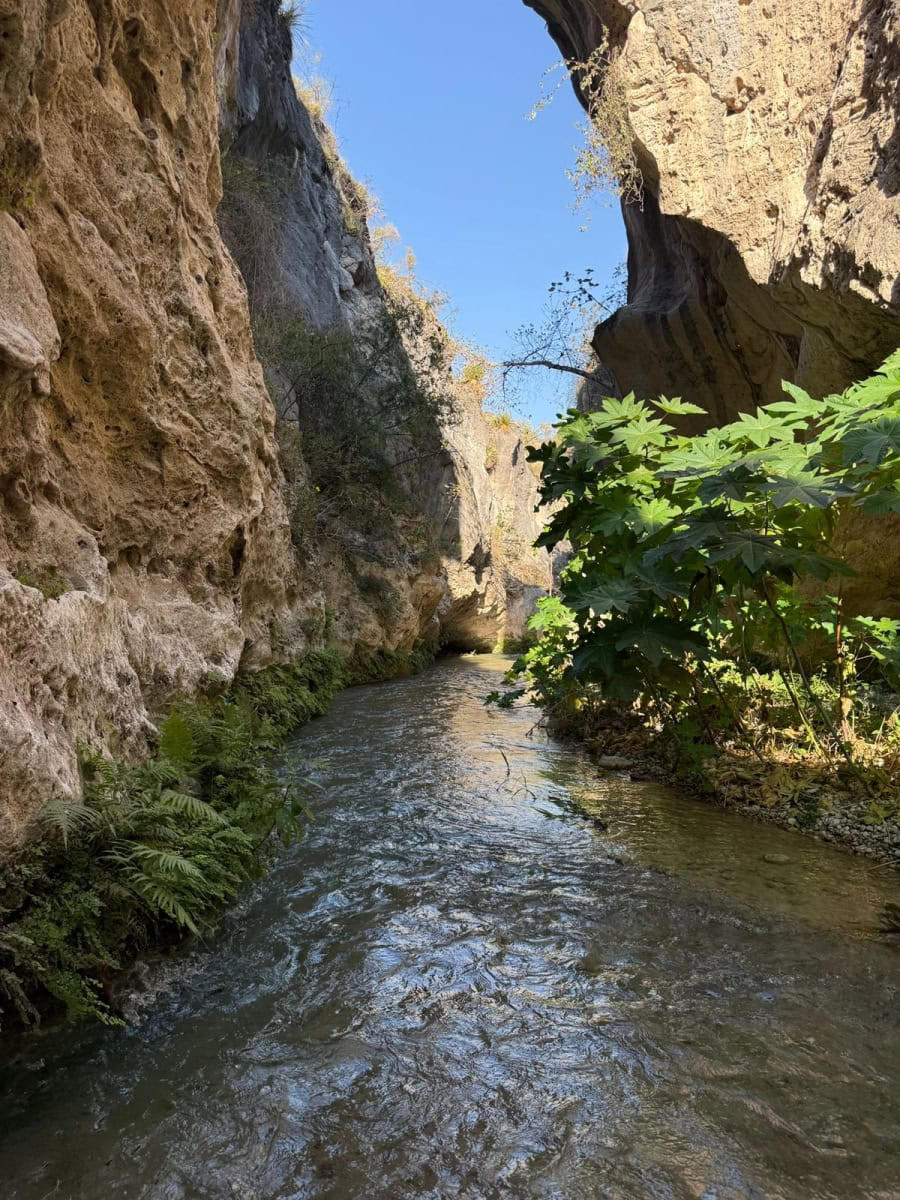 Tamaulipas impulsa su riqueza natural con balnearios, ríos y playas para el turismo