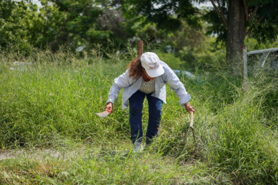 Impulsando tu Bienestar mejorará espacios públicos