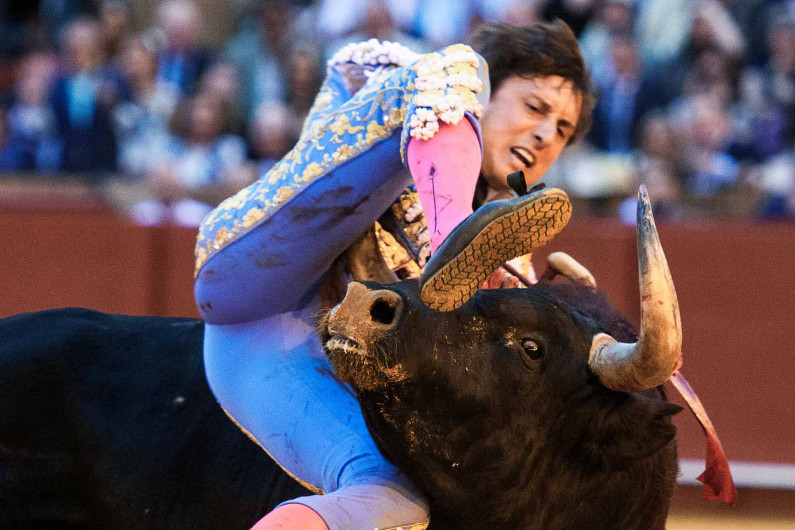 Roca Rey, herido en impactante cogida durante corrida en Sevilla
