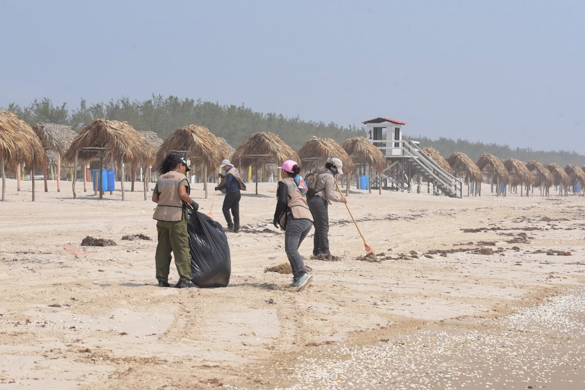 Refuerzan limpieza de playas en Tamaulipas para proteger costas