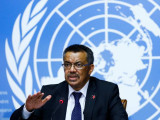 “No es otro COVID”: OMS llama a la calma por brote de hantavirus en España