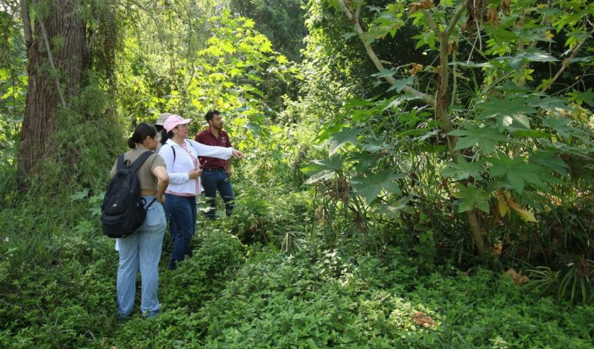 Realiza Gobierno de Tamaulipas diagnóstico ambiental en el río San Marcos