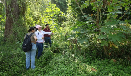 Realiza Gobierno de Tamaulipas diagnóstico ambiental en el río San Marcos
