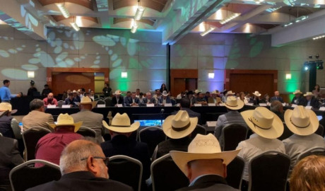 Participa Tamaulipas en reunión binacional para fortalecer sanidad pecuaria