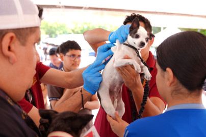 Carmen Lilia refrenda compromiso con bienestar animal con exitosa jornada de vacunación y desparasitación