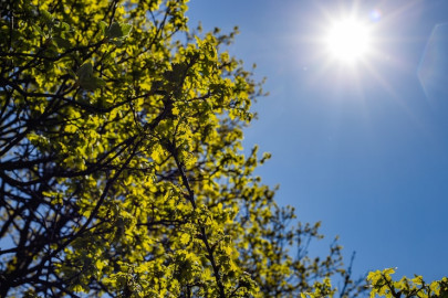 Así estará el clima hoy martes 2 de junio en Tamaulipas