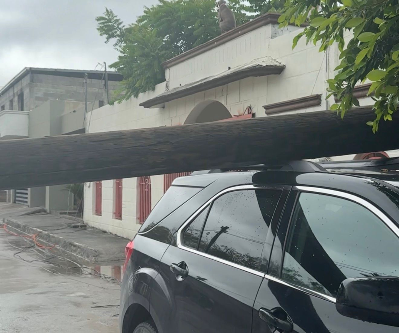 Caída de tres postes daña vehículos y genera preocupación en la colonia Revolución Verde