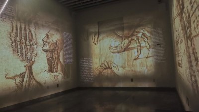 Tampico recibirá exposición inmersiva sobre Leonardo da Vinci