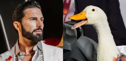 Poncho de Nigris ofrece 800 mil pesos por el famoso Pato Merlín