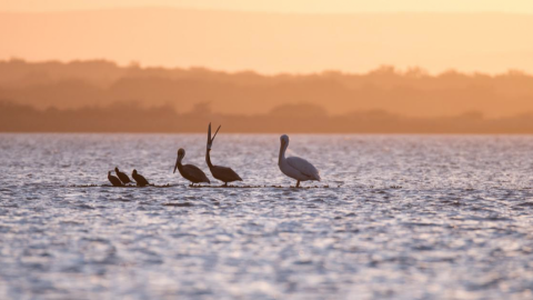 Fotógrafos nacionales registran las bellezas naturales de Tamaulipas