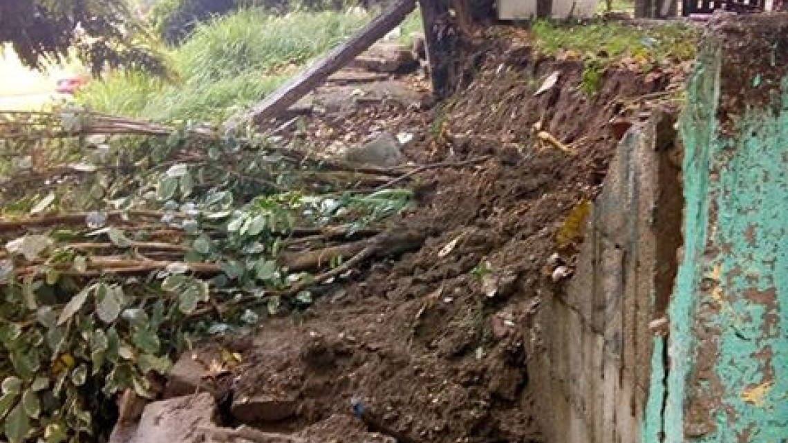Cae árbol y daña una barda en Tampico