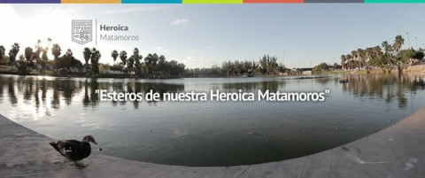 Busca Ayuntamiento recuperar esteros