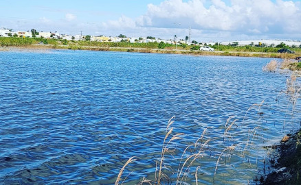 Dejan lagunas naturales el paso de tormentas en Mérida