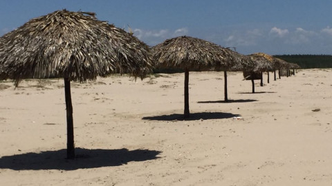 Comerciantes de Altamira incrementan ventas previo al regreso a clases