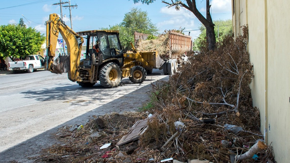 Servicios Públicos Primarios realiza el levantamiento de ramas 