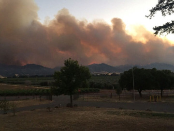 Incendio forestal consume 18 mil hectáreas en California