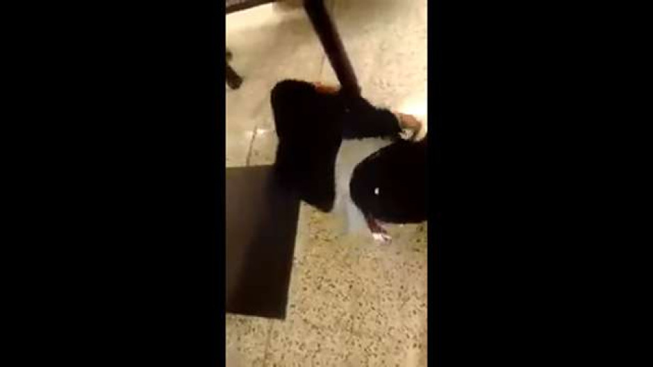 Nace en redes sociales #Lordataques