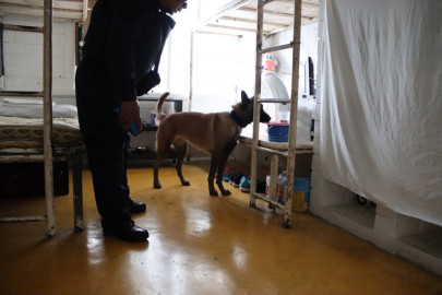  En Tamaulipas supervisiones a los CEDES son permanentes