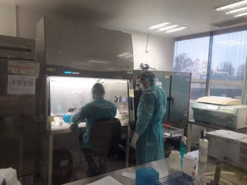 Tamaulipas registra 114 nuevos casos de COVID-19 