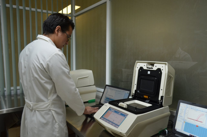 Con 18 nuevos casos, Tamaulipas registra 875 pacientes confirmados a COVID-19
