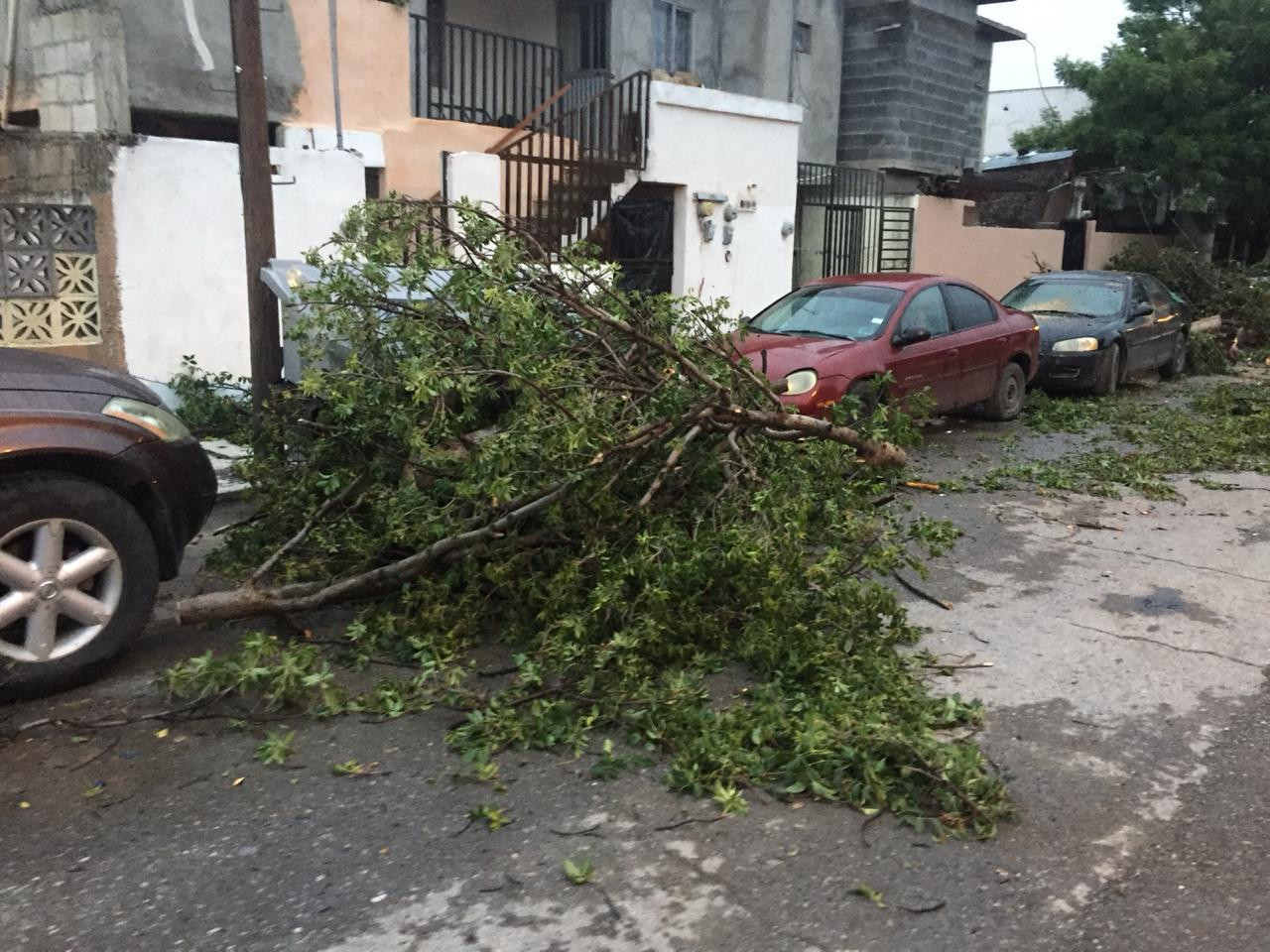 Frente Frío deja afectaciones por fuertes rachas de viento 