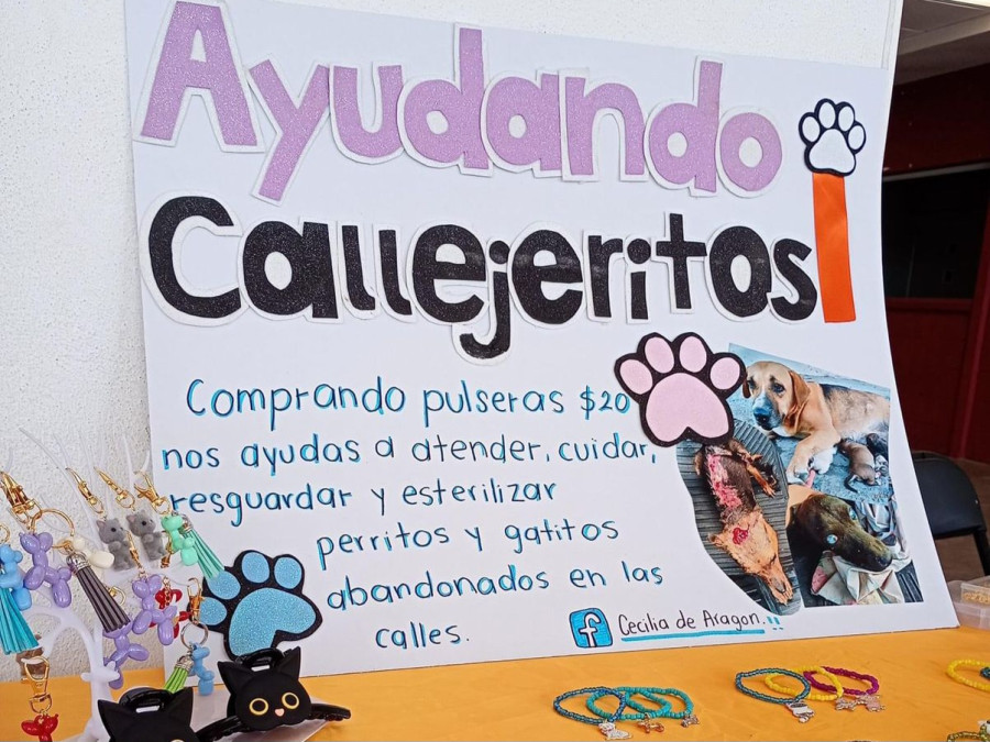 Rescata desde el amor