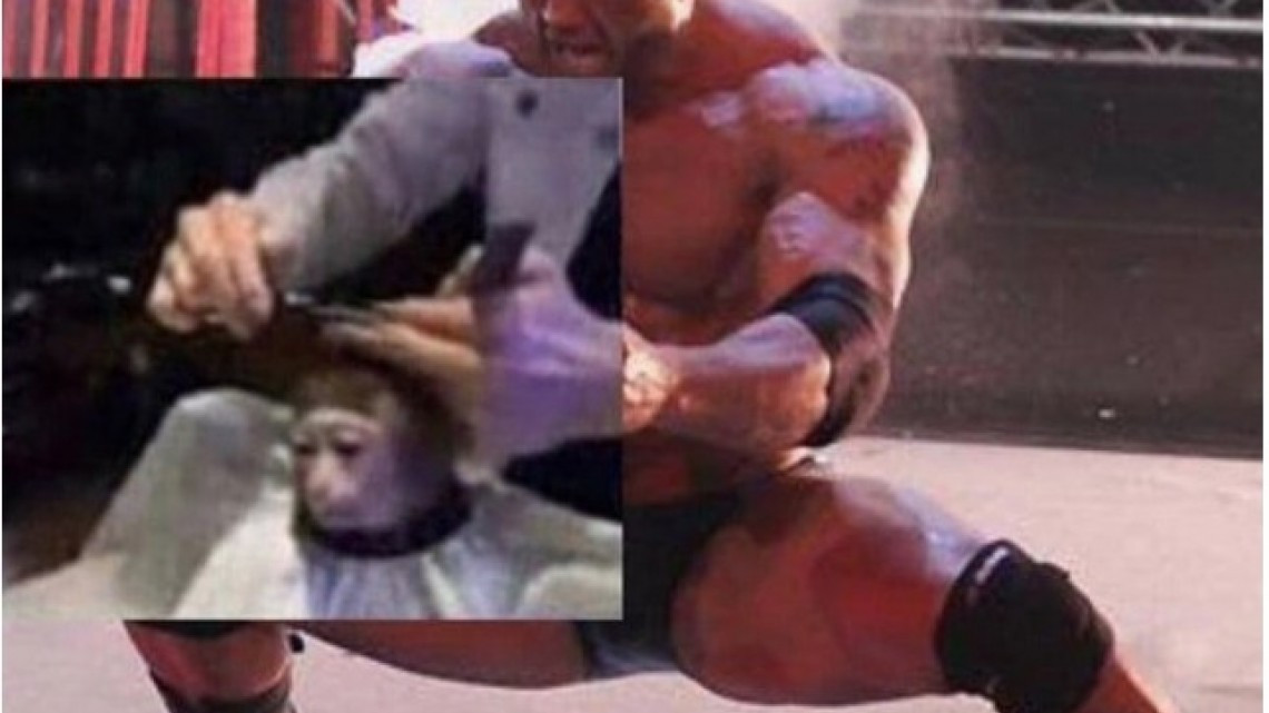 El meme del corte de pelo a un mono que encaja en todo