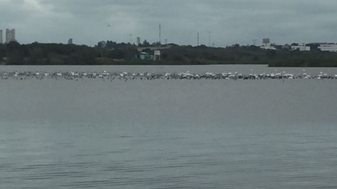 Ultiman detalles preparativos para la temporada vacacional de Semana Santa.
