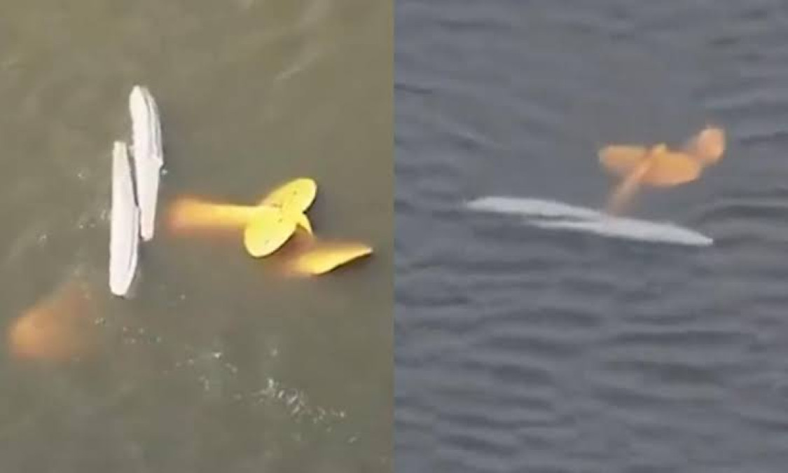 Deja al menos dos muertos choque entre dos avionetas en Florida 