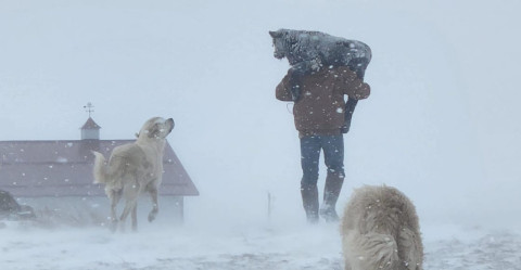 Registran fuerte tormenta invernal en Dakota del Norte, EU