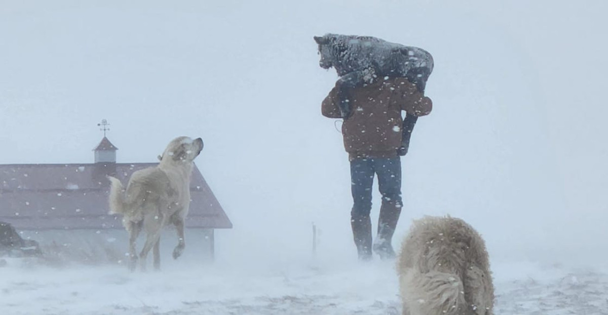 Registran fuerte tormenta invernal en Dakota del Norte, EU
