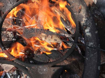 Niños venden ratones asados por un dólar