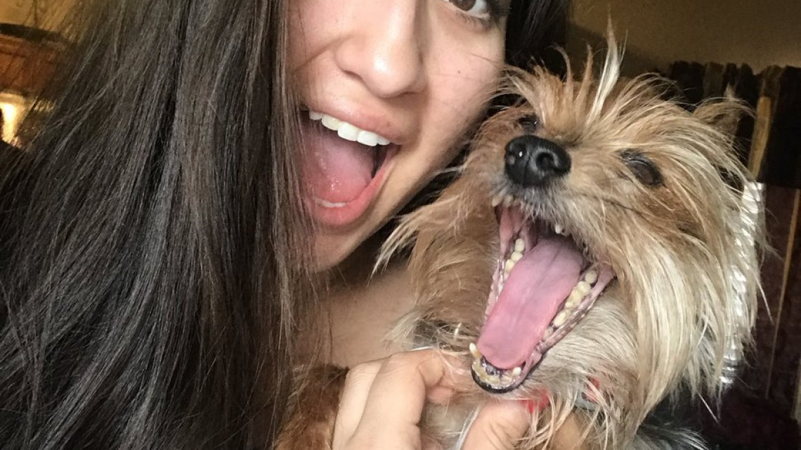 Cuando los humanos se parecen a sus mascotas