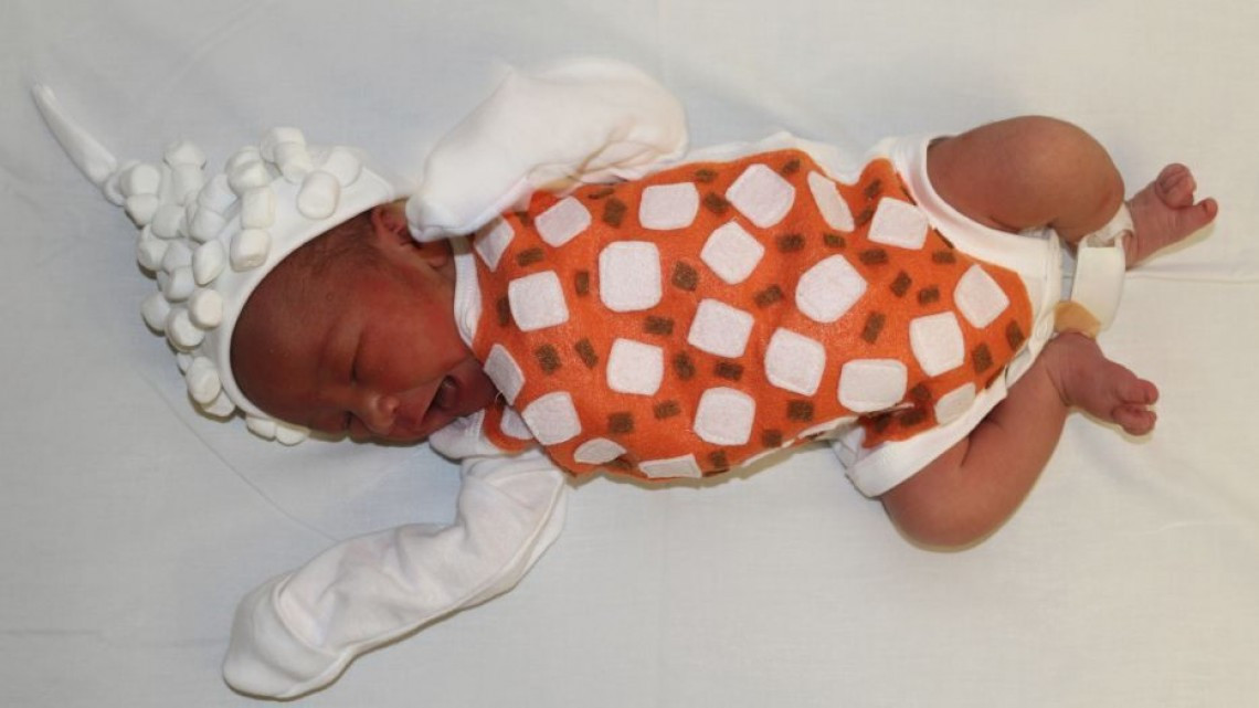 Recién nacidos son vestidos como comida de Acción de Gracias