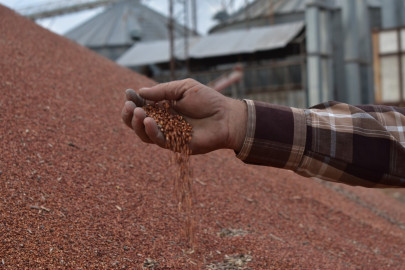 Inicia gobierno de Tamaulipas dispersión de recursos de apoyo del “Programa de Fomento a la Producción Rural 2023”