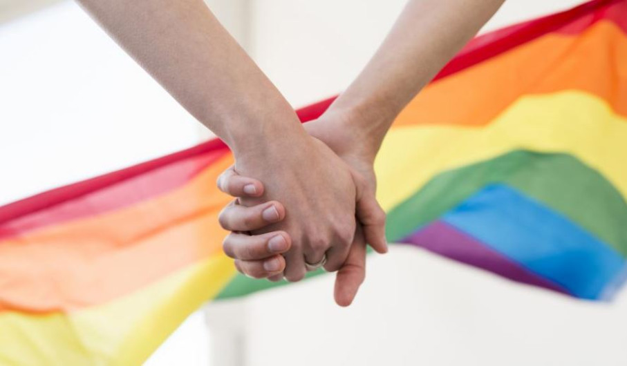 Cámara de Diputados avanza con reforma constitucional que reconoce el matrimonio igualitario 