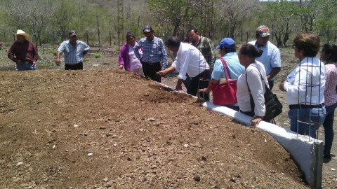 Citricultores de Soto la Marina reciben capacitación en Lombricultura