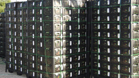 DIF Río Bravo beneficia a más de 800 familias con entrega de Okra