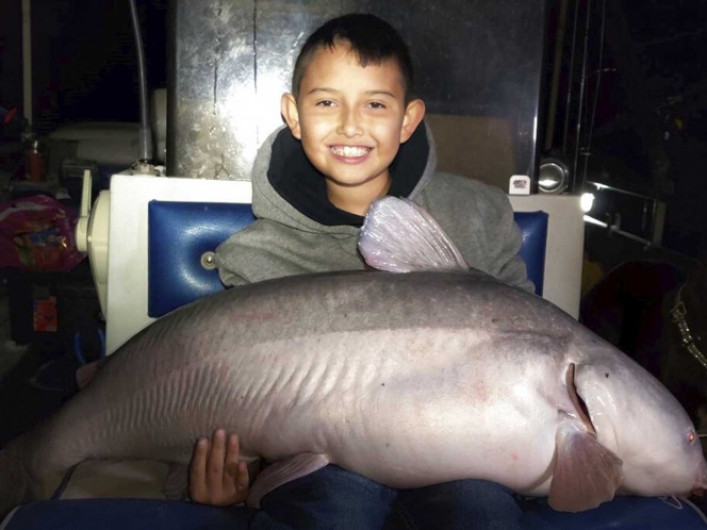 Niño pesca un pez gato de 19 kilos