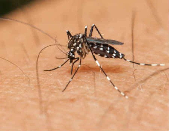 Registran primer caso de zika por transmisión sexual