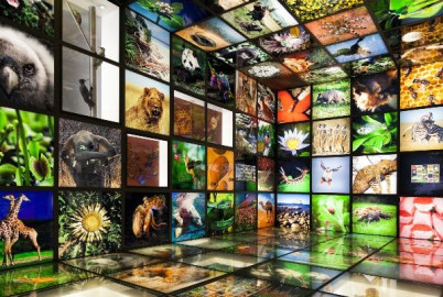 Hoy celebramos el Día Mundial de la Naturaleza 
