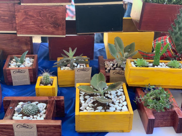 DIF Tamaulipas fomenta el desarrollo comunitario  a través del autoempleo